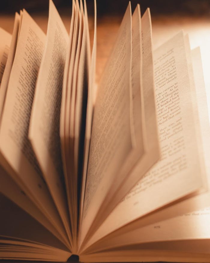 Close-up of an open book with its pages fanned, captured in warm soft lighting, creating a cozy reading atmosphere.